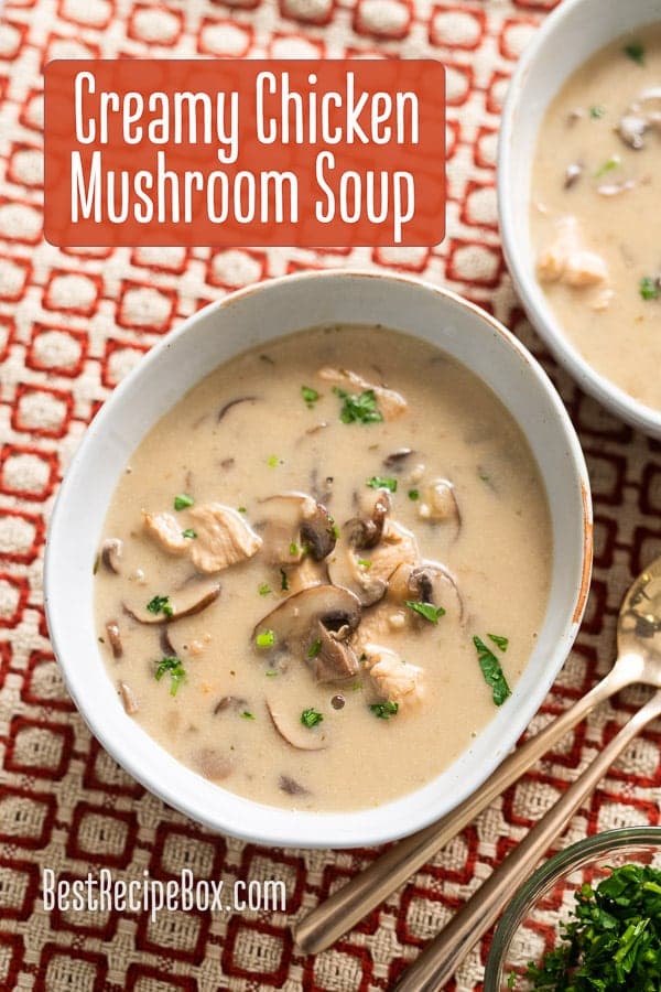 Creamy Chicken and Mushroom Soup