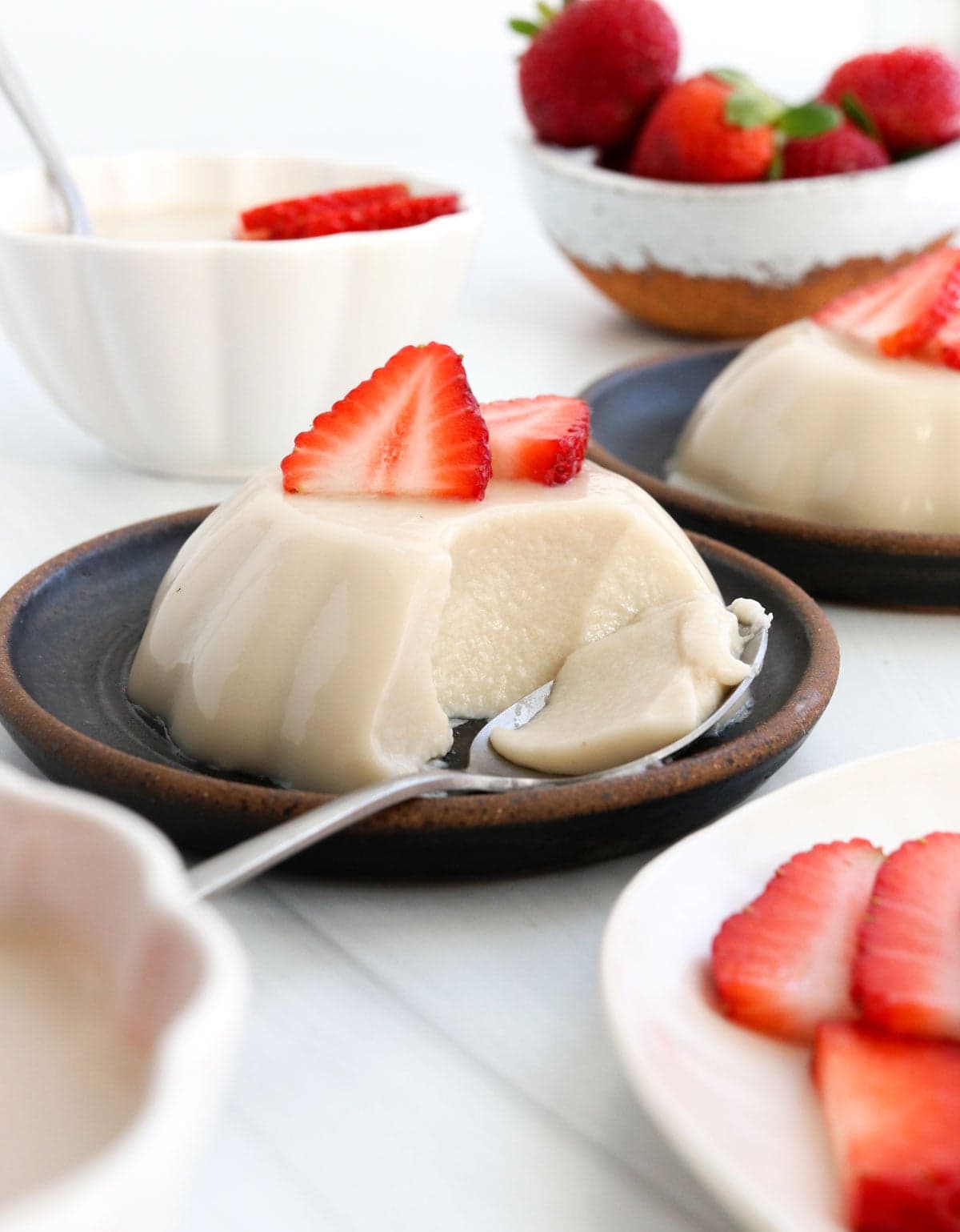 Coconut Milk Panna Cotta