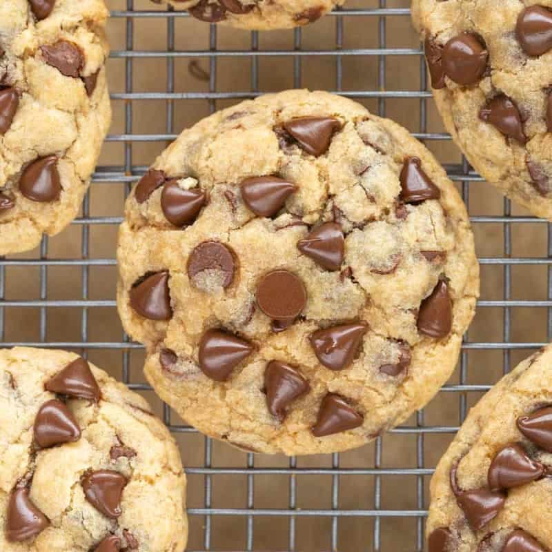 Coconut Flour Chocolate Chip Cookies
