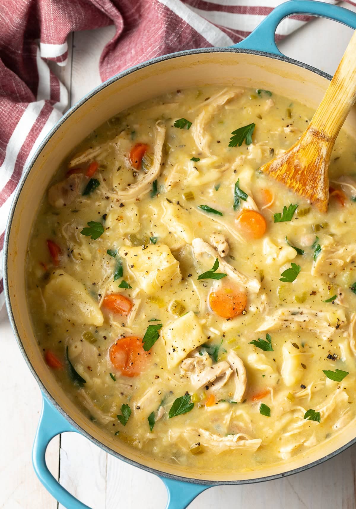 Homemade Chicken and Dumplings